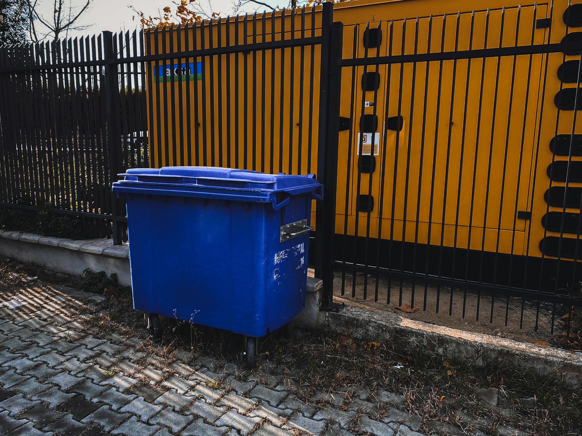 Dumpster Rental