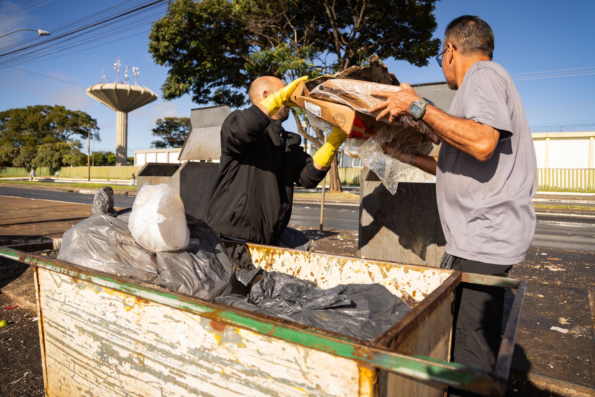 Dumpster Removal
